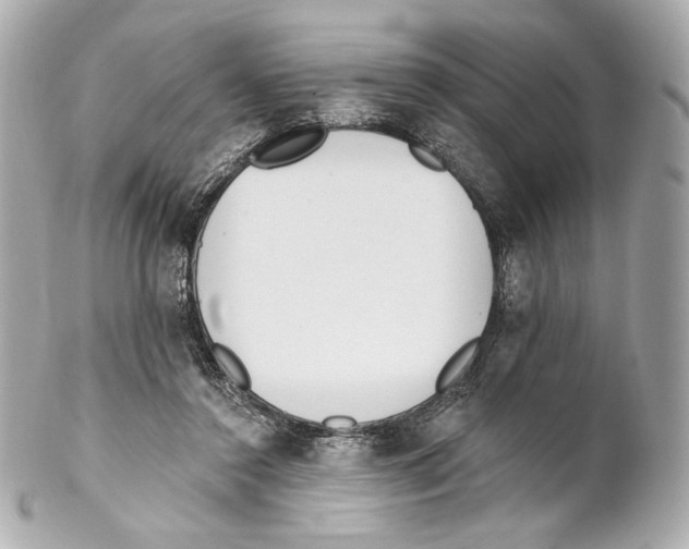 X0000102020356200808151321