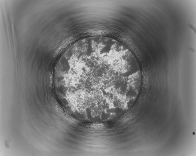 X0000102020357200808151321