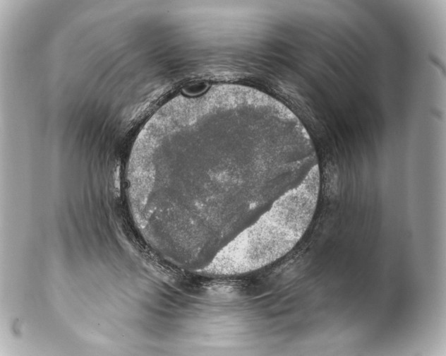 X0000102020358200808151321
