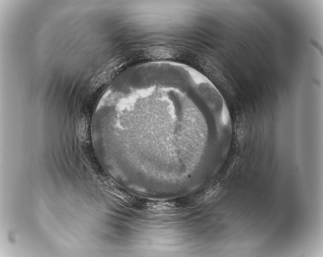 X0000102020359200808151321