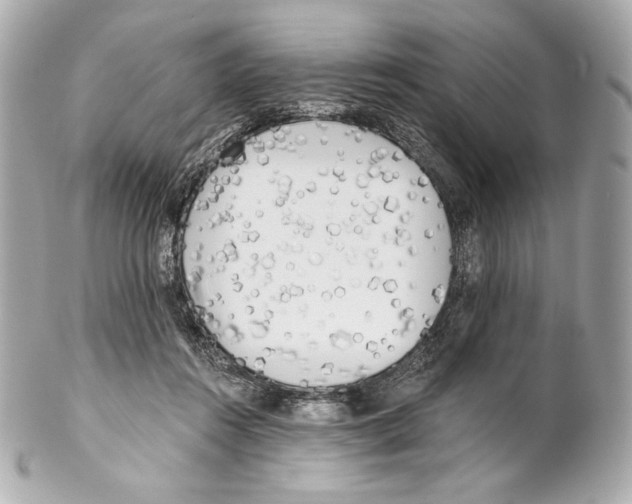 X0000102020360200808151321