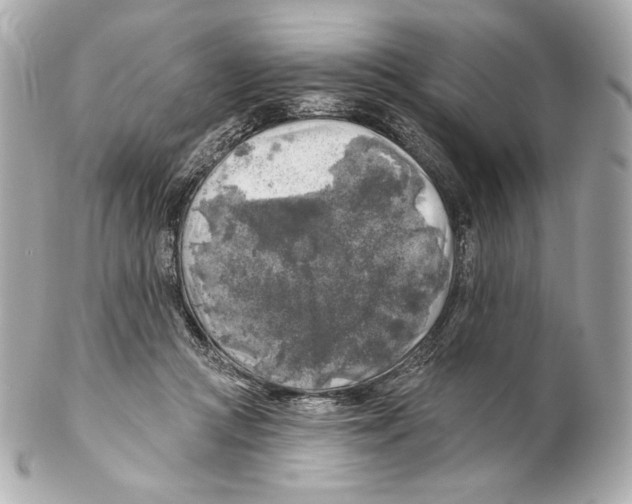 X0000102020361200808151321