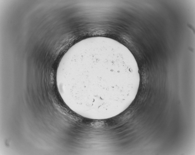X0000102020362200808151321