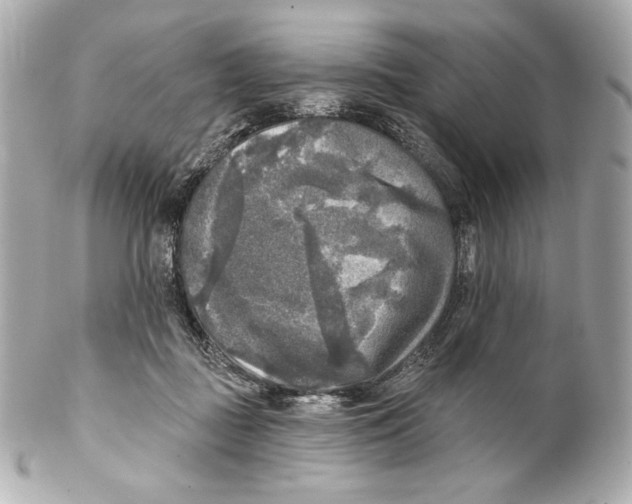 X0000102020363200808151321