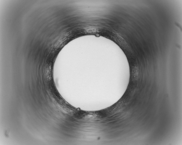 X0000102020364200808151321