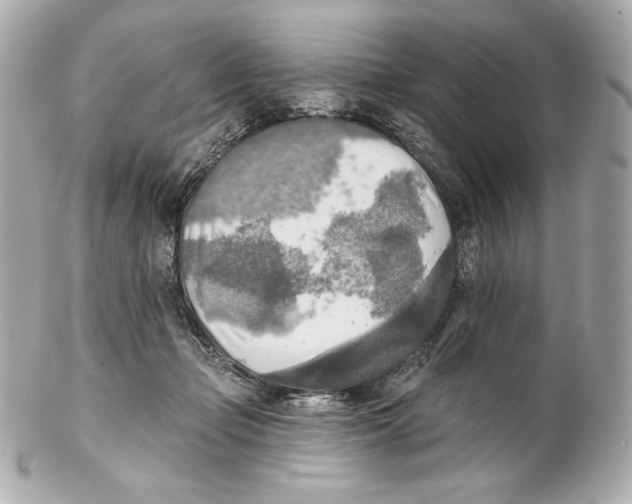 X0000102020365200808151321