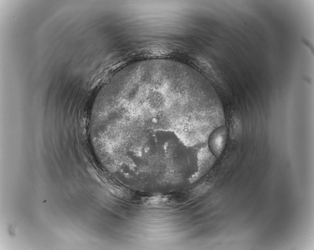 X0000102020366200808151321