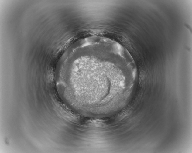X0000102020367200808151321
