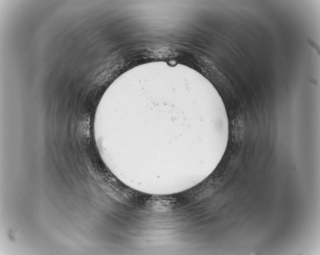 X0000102020368200808151321