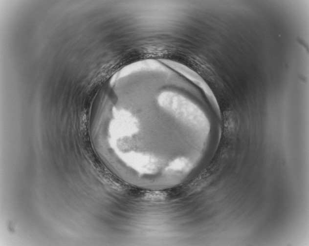 X0000102020369200808151321