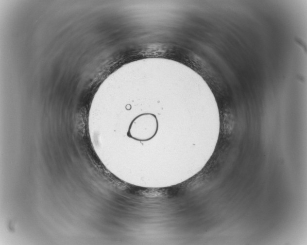 X0000102020370200808151321