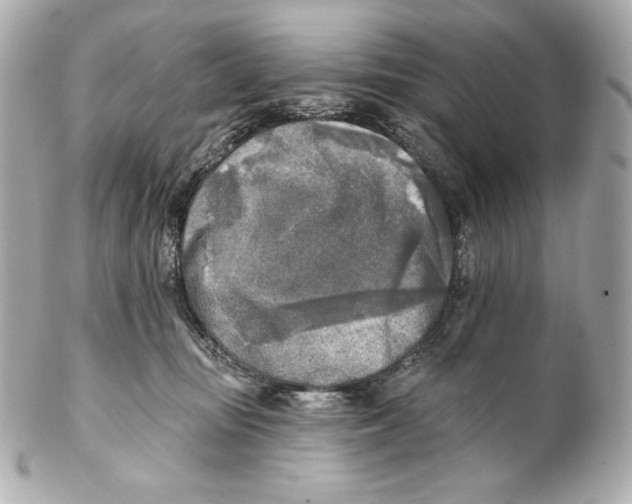 X0000102020371200808151321