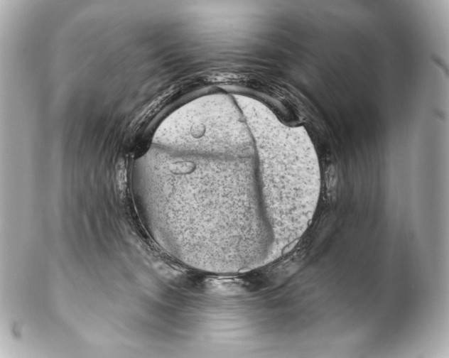 X0000102020372200808151321