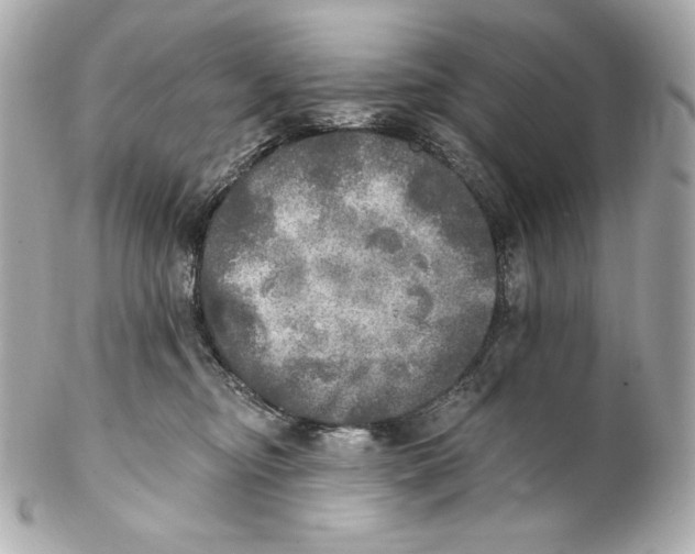 X0000102020374200808151321