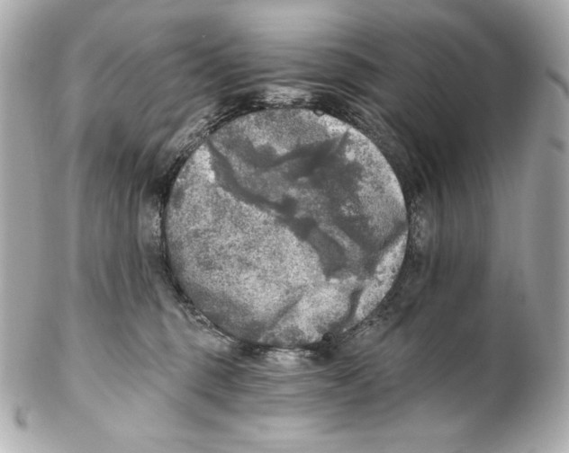 X0000102020375200808151321