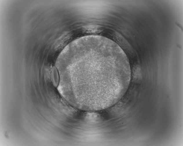X0000102020376200808151321