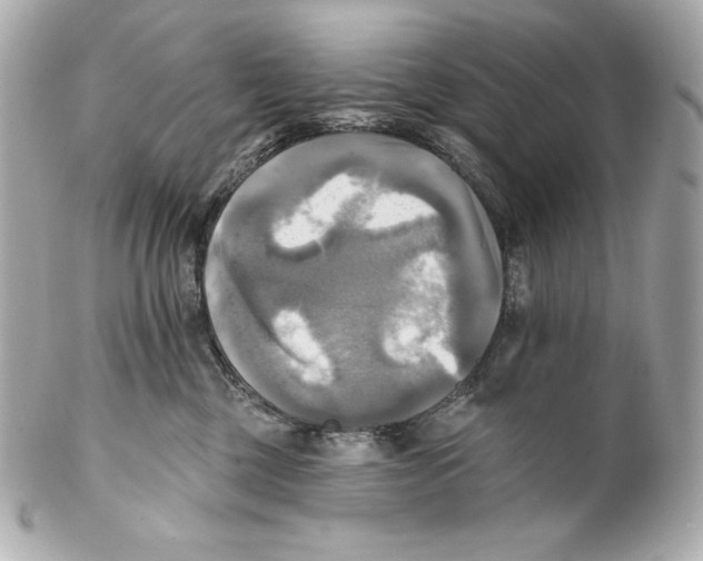 X0000102020377200808151321