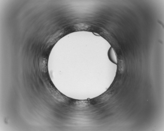 X0000102020378200808151321