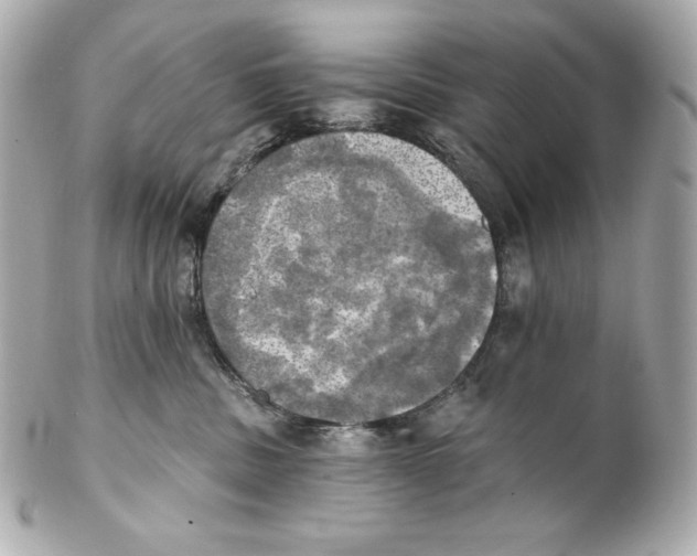 X0000102020379200808151321