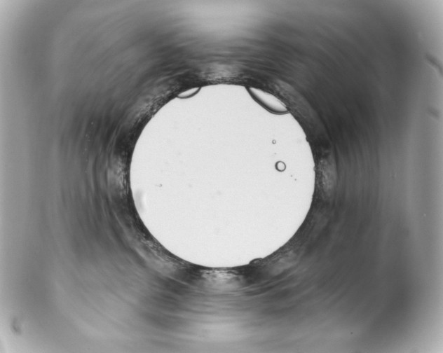 X0000102020380200808151321