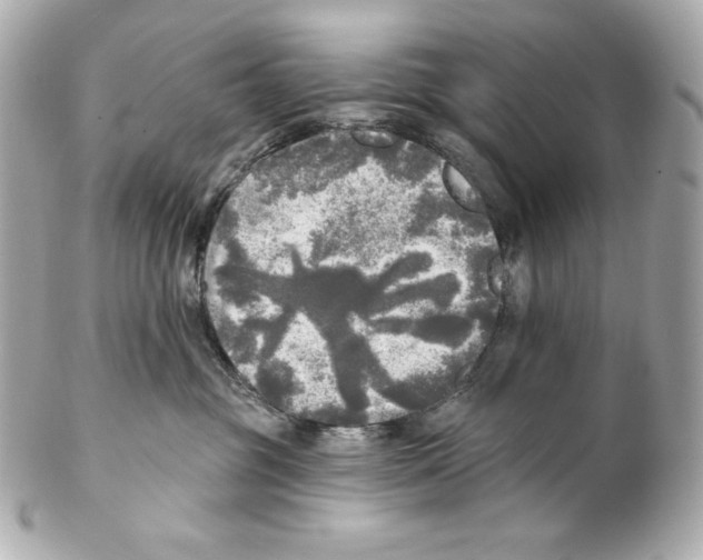 X0000102020381200808151321