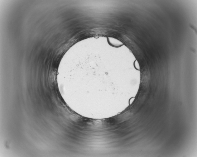 X0000102020382200808151321