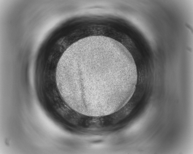 X0000102020383200808151321