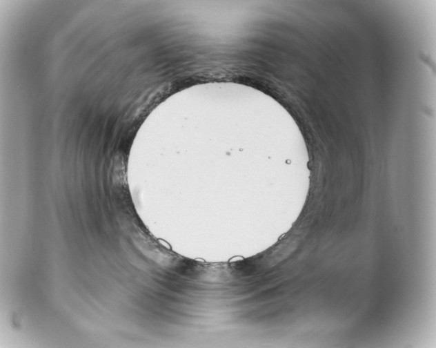 X0000102020384200808151321