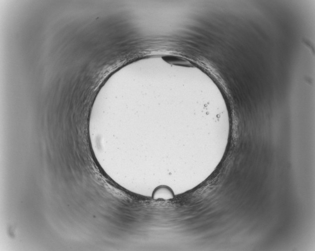 X0000102020385200808151320