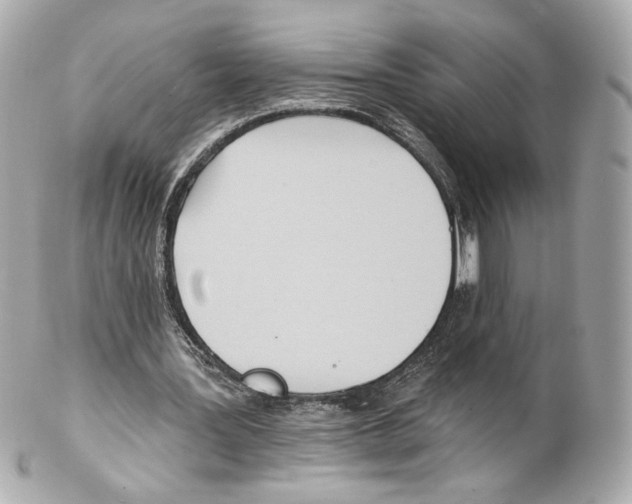X0000102020387200808151320