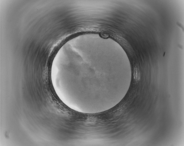 X0000102020388200808151320