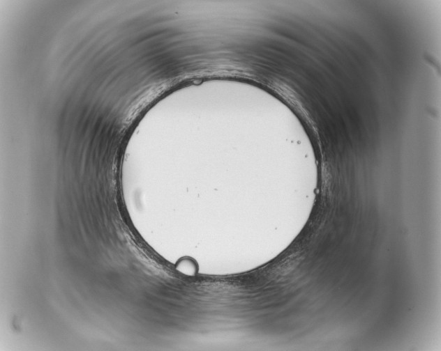 X0000102020389200808151320