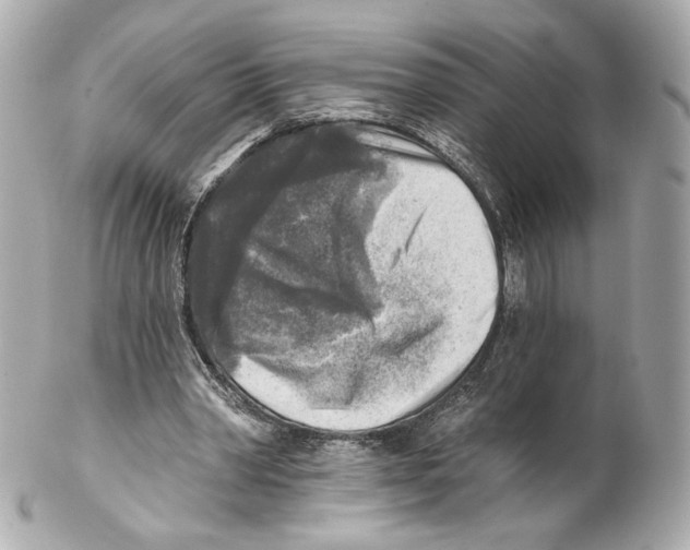 X0000102020390200808151320