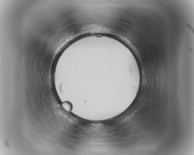X0000102020391200808151320
