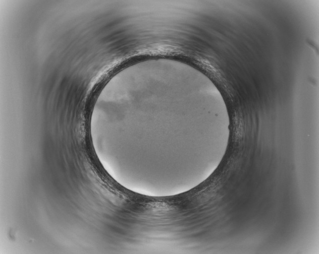 X0000102020392200808151320