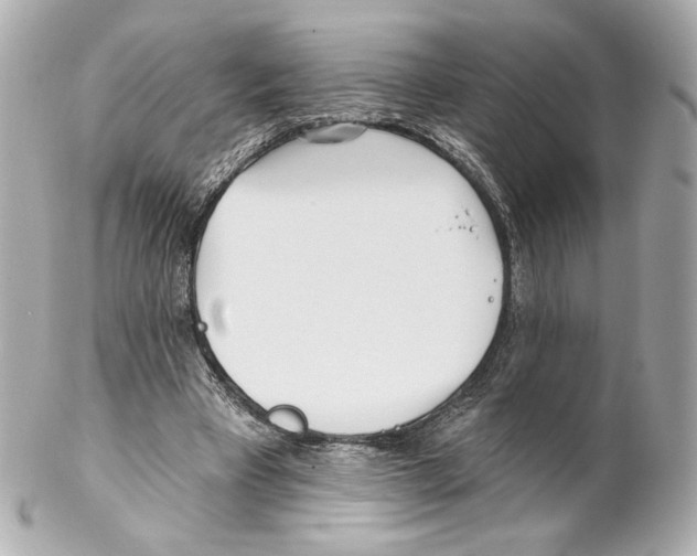 X0000102020393200808151320