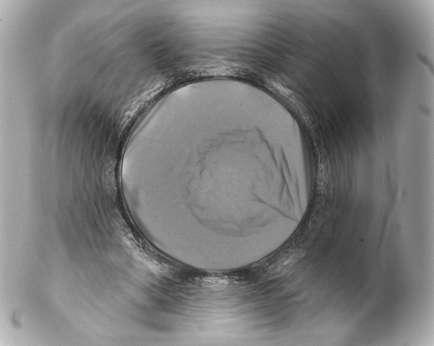 X0000102020394200808151320