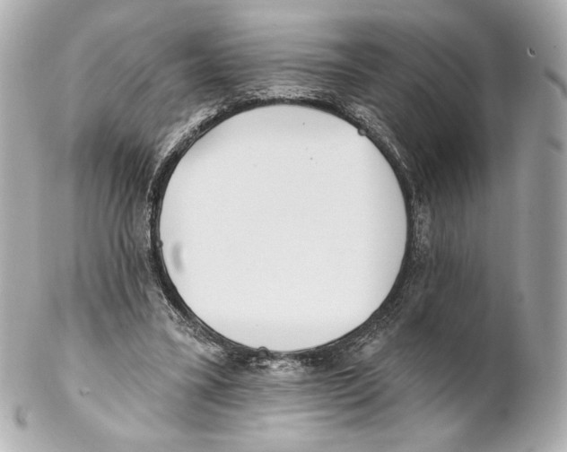 X0000102020395200808151320