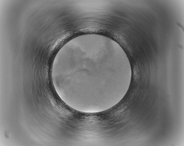 X0000102020396200808151320