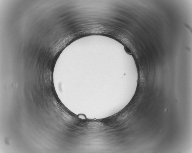 X0000102020397200808151320