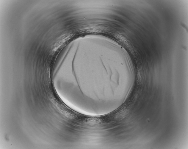 X0000102020398200808151320