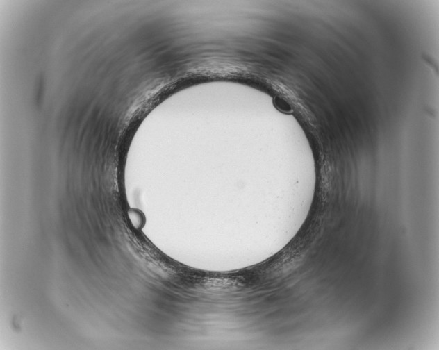 X0000102020399200808151320