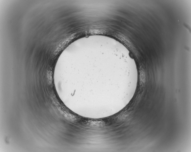 X0000102020401200808151320