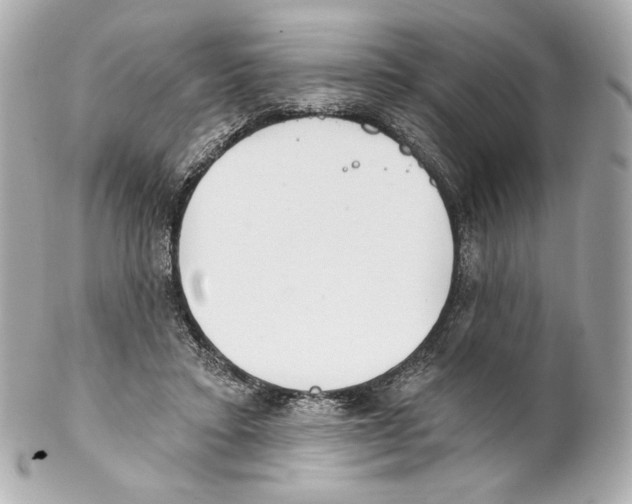 X0000102020403200808151320