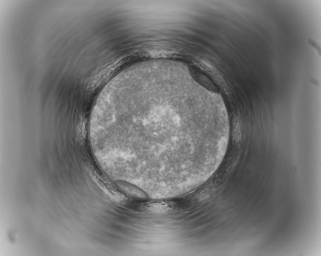X0000102020405200808151320