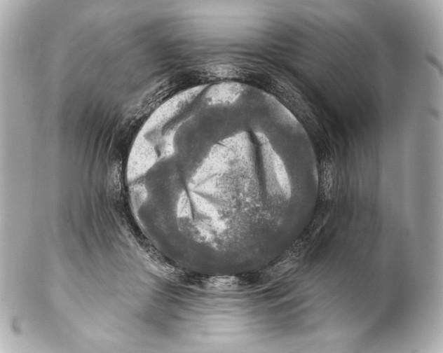 X0000102020410200808151320