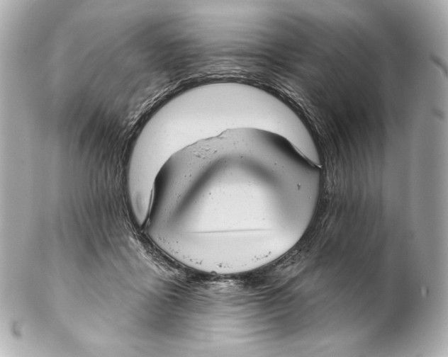 X0000102020411200808151320