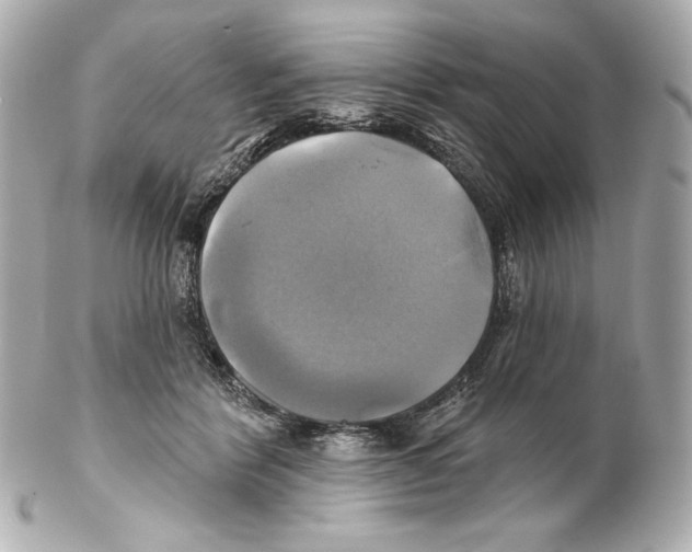 X0000102020412200808151320