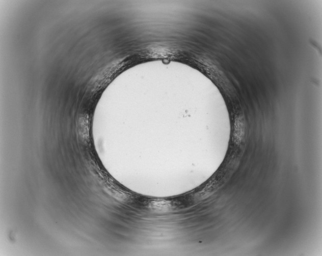 X0000102020413200808151320