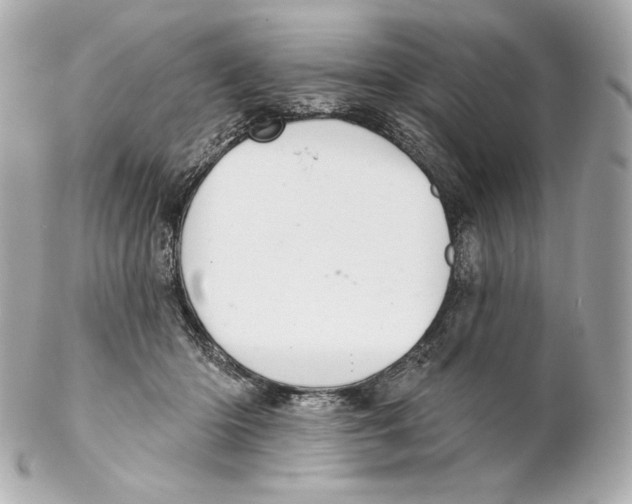 X0000102020414200808151320